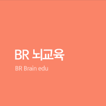 BR 뇌교육